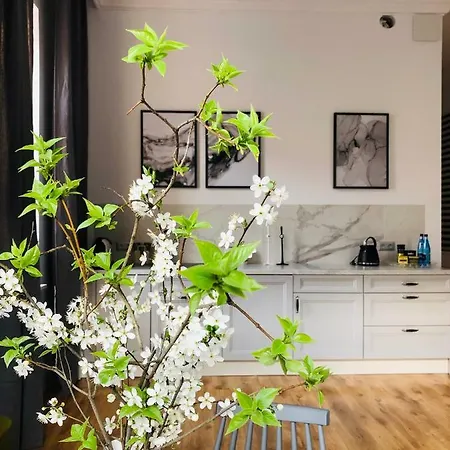 Piper Park Wilsona & Targi *