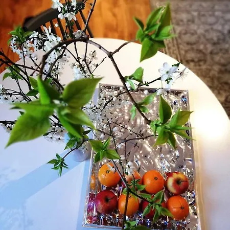 Apartamento Piper Park Wilsona & Targi