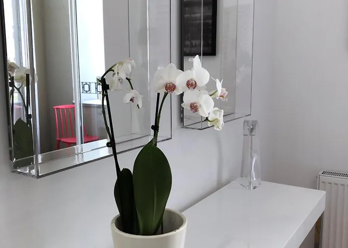 Piper Park Wilsona & Targi