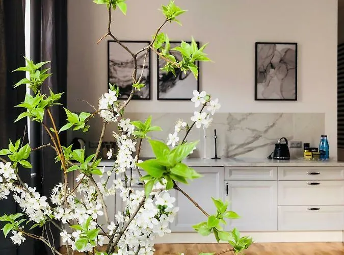 Piper Park Wilsona & Targi *